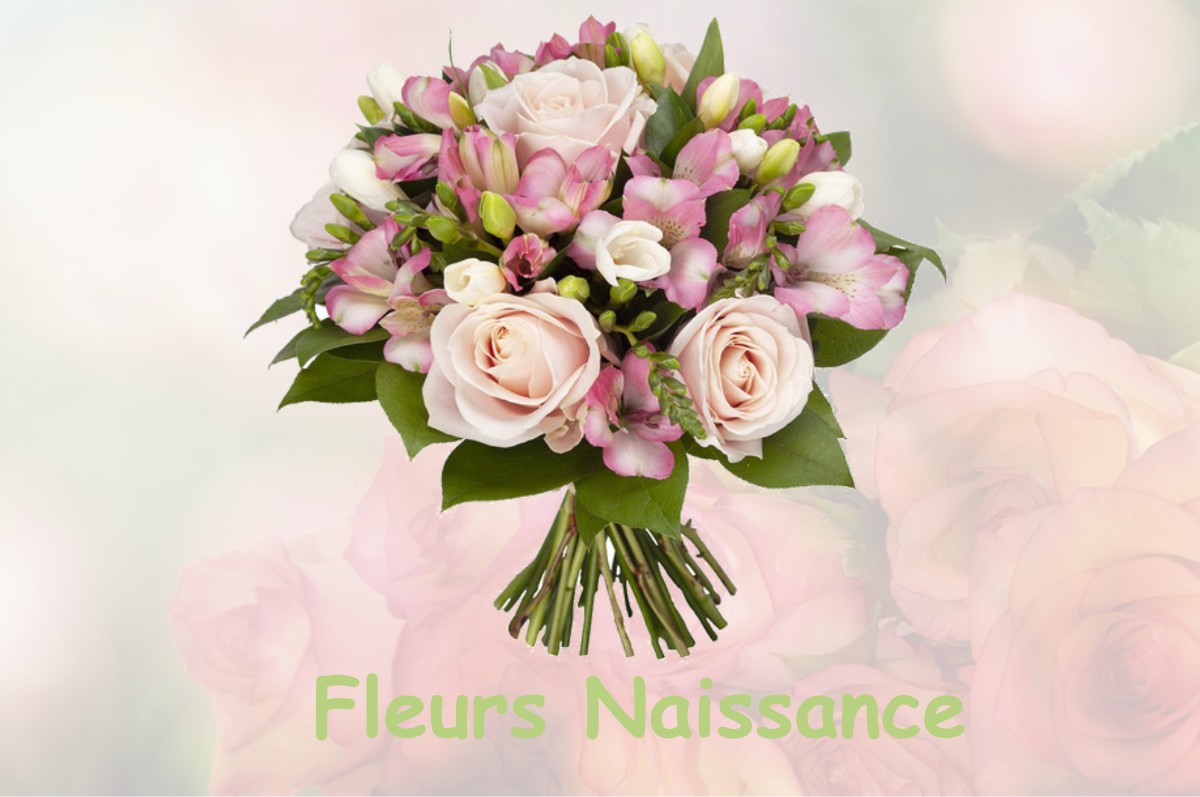 fleurs naissance SAINT-MAURICE-SOUS-LES-COTES