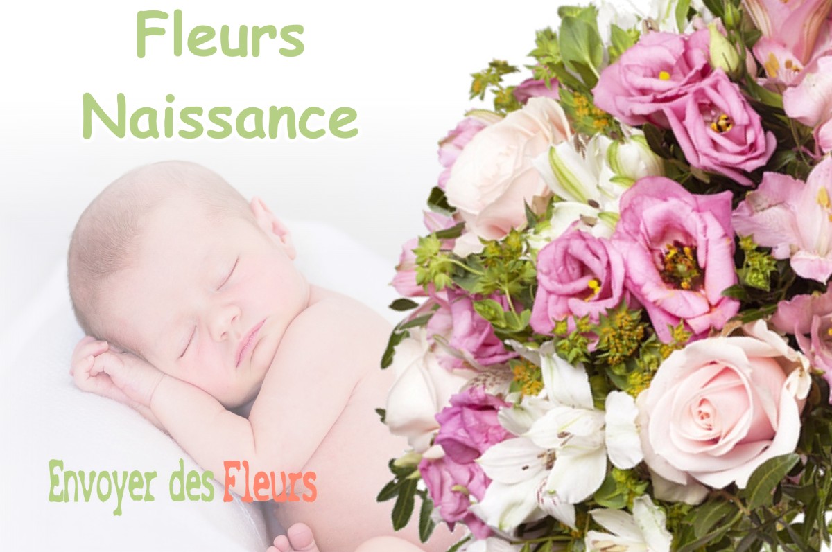 lIVRAISON FLEURS NAISSANCE à SAINT-MAURICE-SOUS-LES-COTES